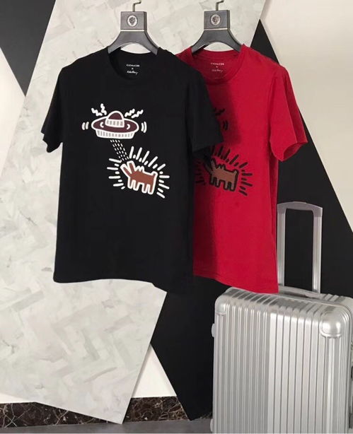 圖 高檔奢偧大牌男裝工廠(chǎng)貨源批發(fā)代理 成都服裝 鞋帽 箱包